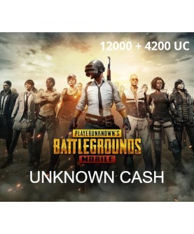 PUBG Mobile - 12000 + 4200 UC Android Key GLOBAL